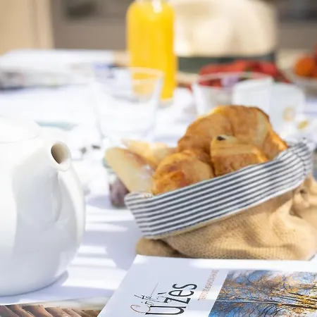 Les Canisses, Magnifique Avec Terrasse Au Coeur D'uzes *